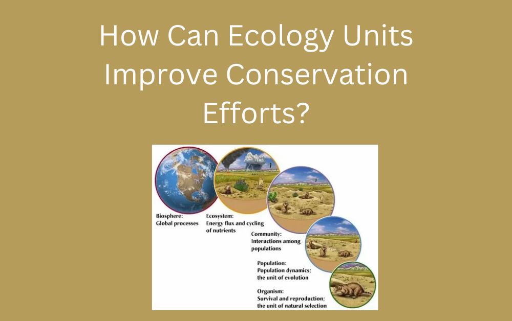 How Can Ecology Units Improve Conservation Efforts?