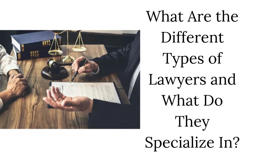 What Are the Different Types of Lawyers and What Do They Specialize In?