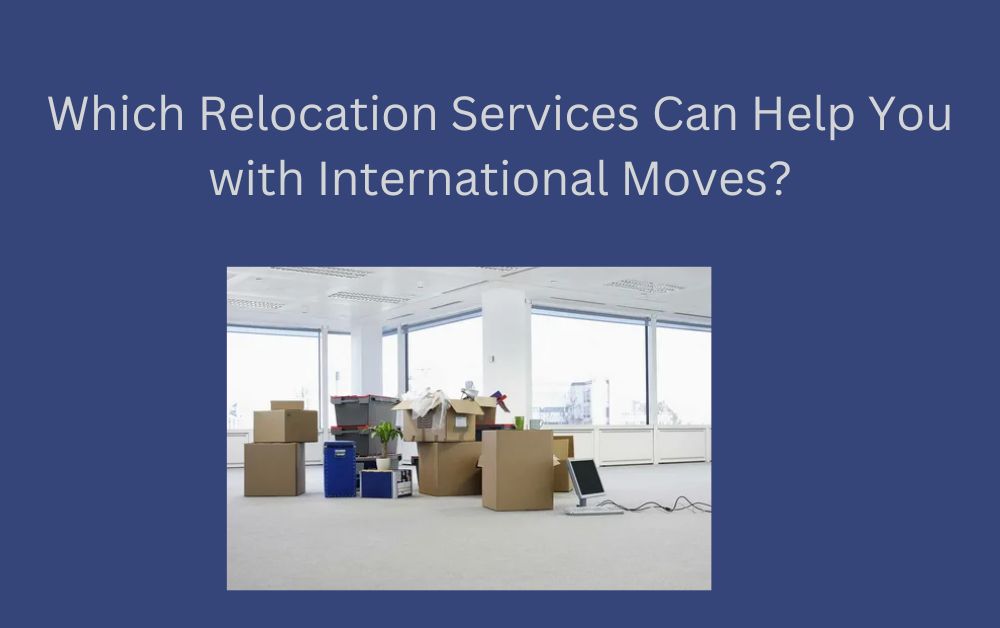 best relocation companies in dubai